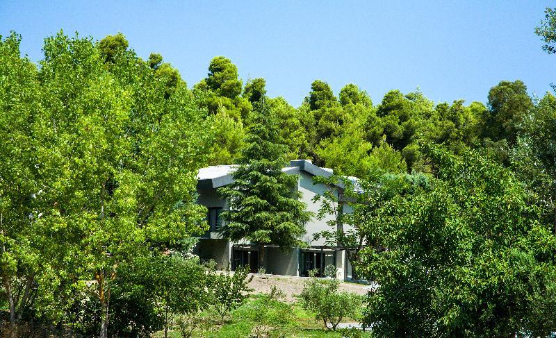 Sani More & Sani Woods (Adults Only) Luaran gambar