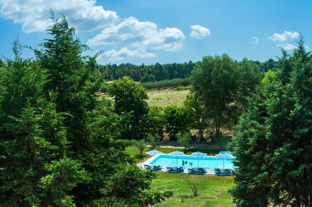Sani More & Sani Woods (Adults Only) Luaran gambar